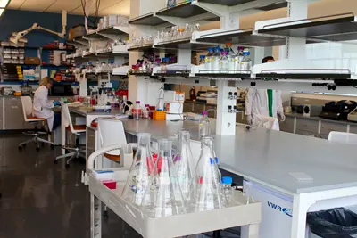 Another side of wet lab